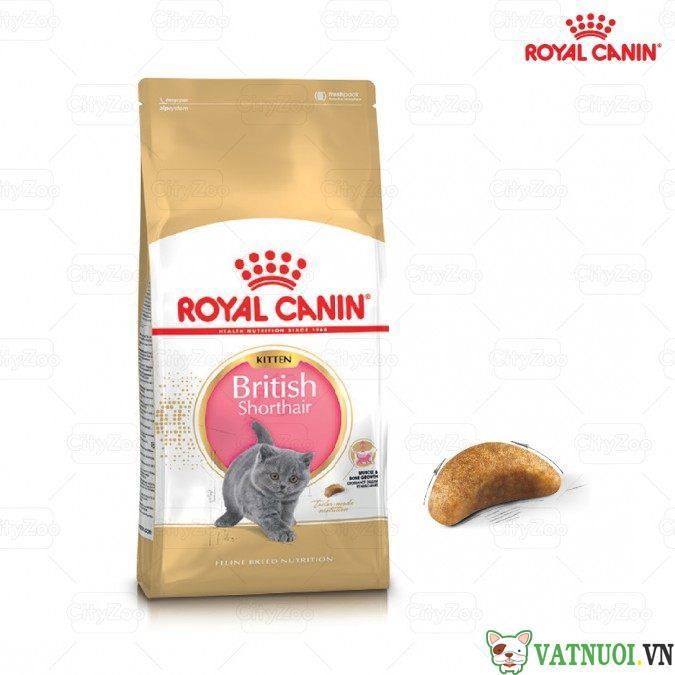 thức ăn royal canin mèo anh lông ngắn british shorthair