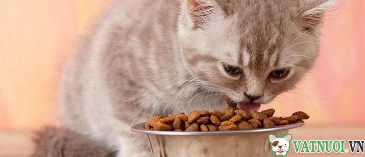 thức ăn cho mèo giá sỉ