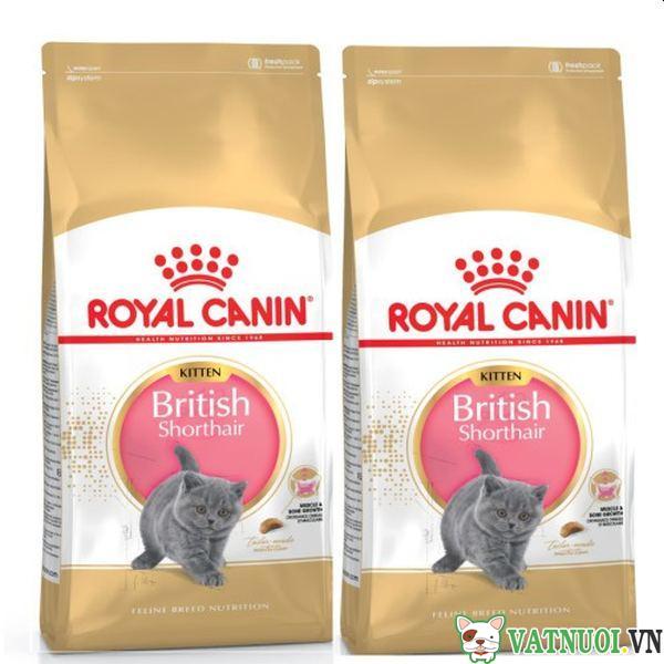 royal canin british shorthair