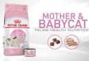 royal canin mother &babycat