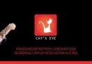 thương hiệu thức ăn cho mèo hạt cats eye