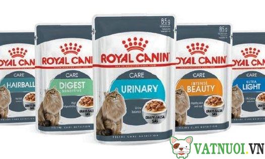 Thức ăn chó mèo Royal Canin