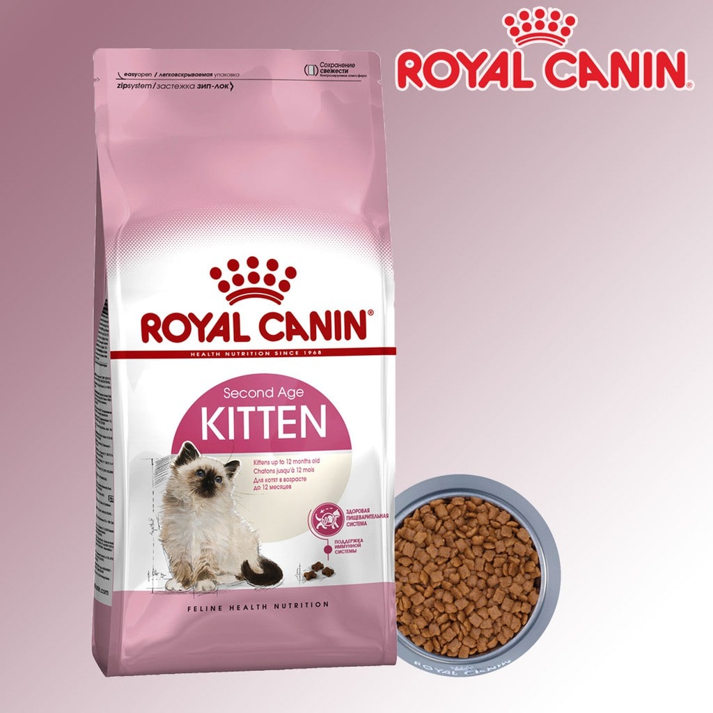 Royal Canin Kitten có tốt cho mèo con không? - Paddy – Paddy Pet Shop