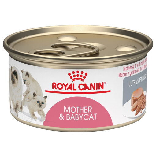 Pate cho mèo Royal Canin Mother & Babycat Ultra - Soft Mousse | VIETPET