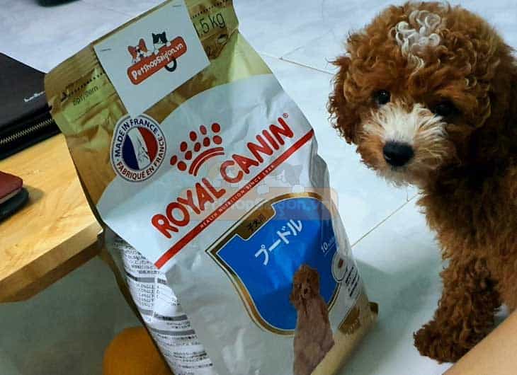 Thức Ăn Cho Chó Con Royal Canin Poodle Puppy (1.5kg)