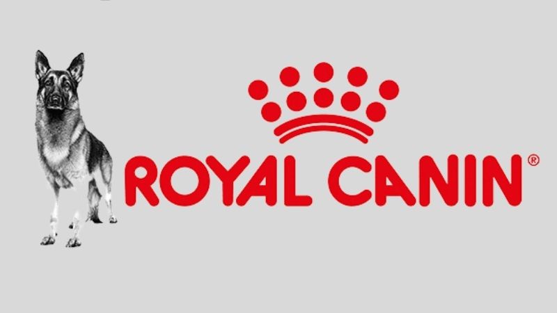 Thức ăn cho chó Royal Canin có tốt không?