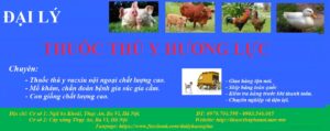 5 NHÀ THUỐC THÚ Y NỔI TIẾNG NHẤT HÀ NỘI