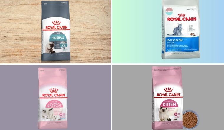 Thức ăn cho mèo Royal Canin gồm những loại nào